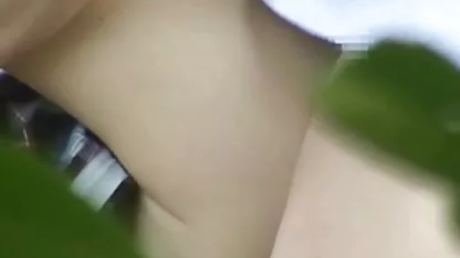 Shyla معلم انجمن قمبل