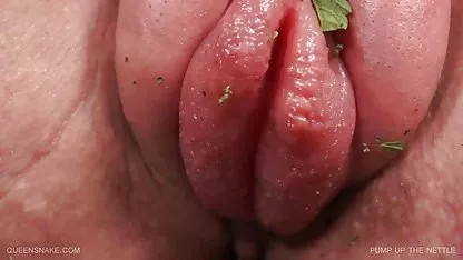 وب کم, سبزه, خود طعم دانلودفیلمسکسی جمعه